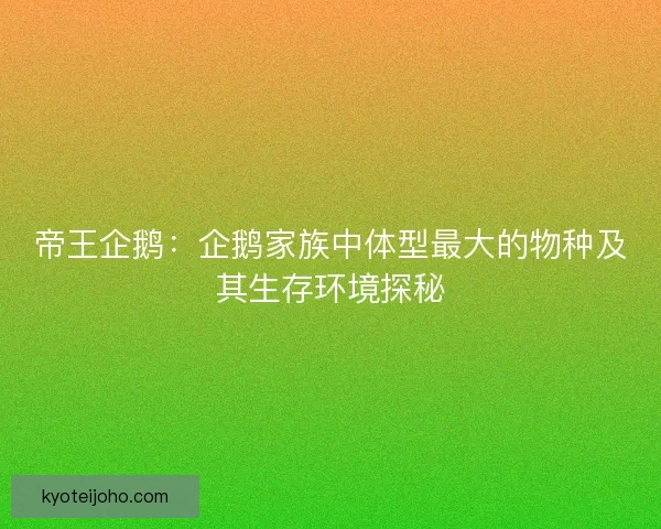 帝王企鹅：企鹅家族中体型最大的物种及其生存环境探秘